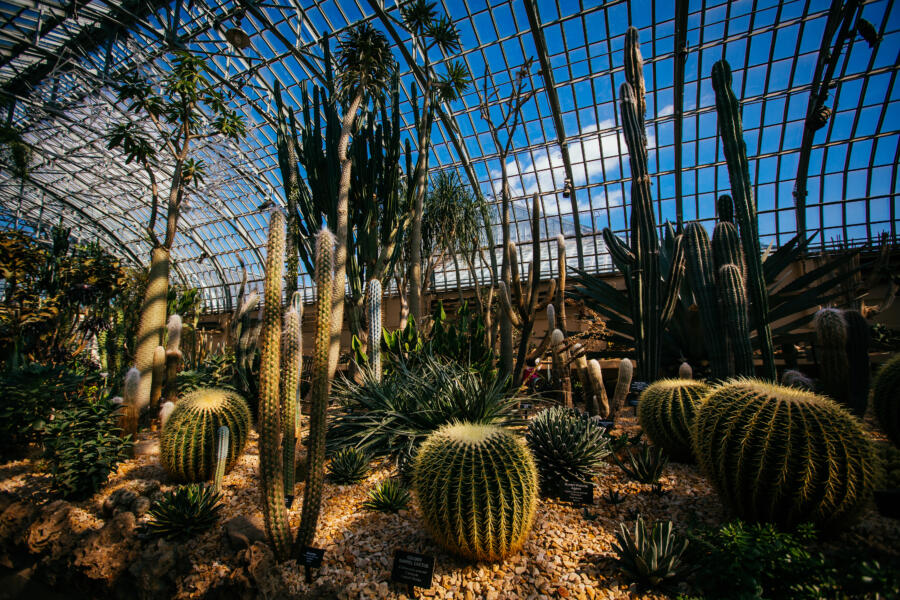 Garfield Park Conservatory