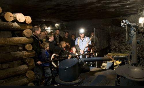 Creepy Crawly Coal Mine at Griffin Museum of Science and Industry