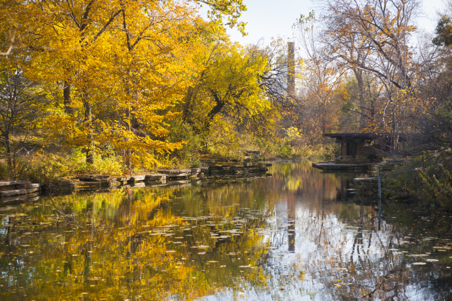 ALFRED CALDWELL LILY POOL