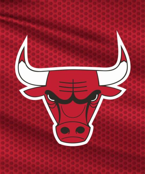 NBA Preseason: Chicago Bulls vs. Memphis Grizzlies