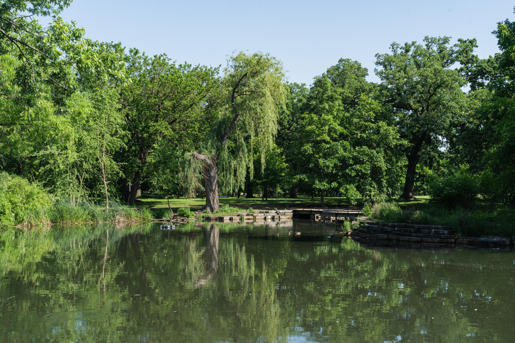 Riis Park in Belmont Cragin