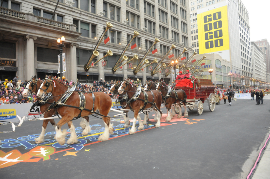 Chicago Thanksgiving Day Parade