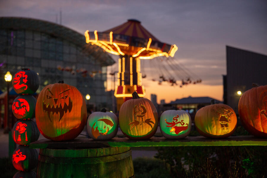 Navy Pier's Pumpkin Lights;